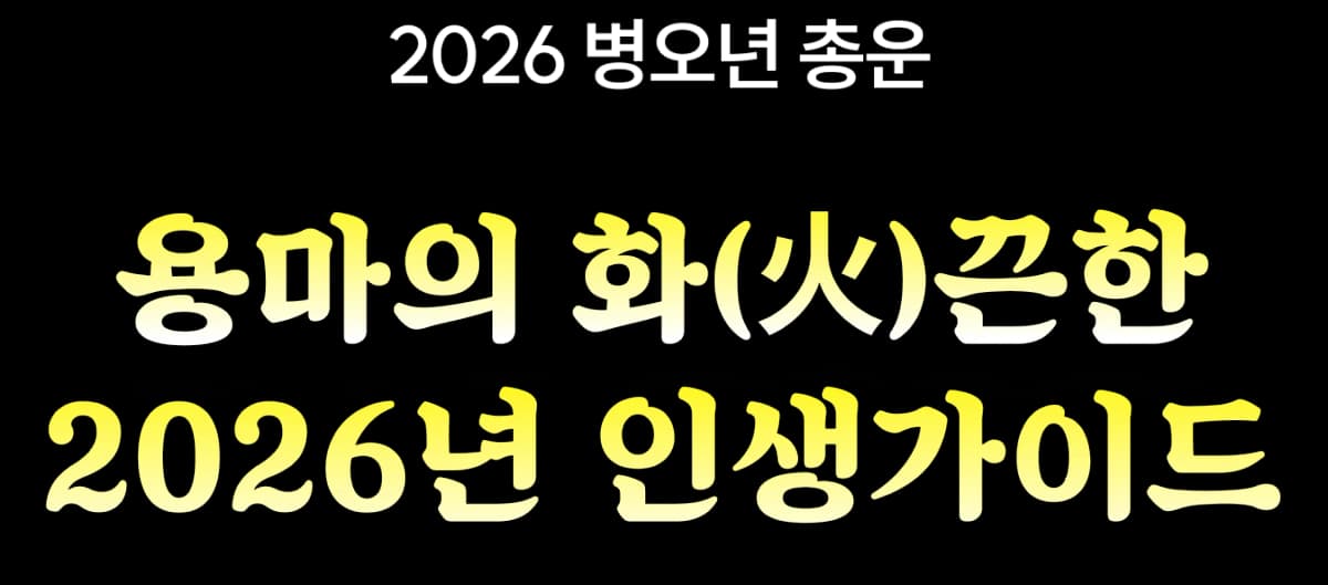 2026 병오년 총운 용마의 화끈한 2026년 인생 가이드